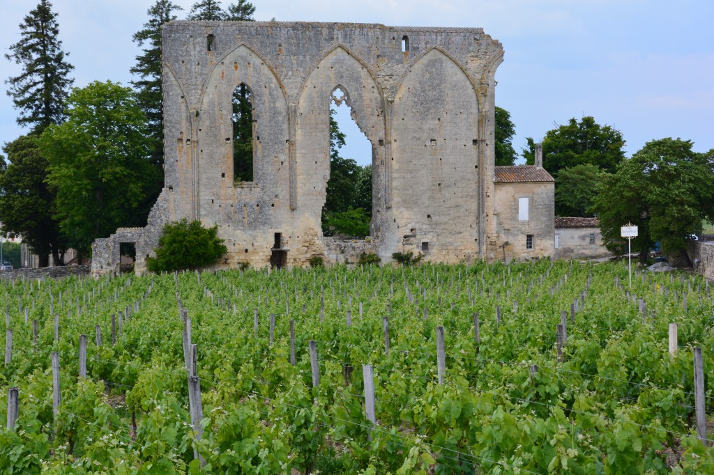 St Emillon St Emilion 2016: a Vintage for Left Bank Lovers | Lewin on Wine